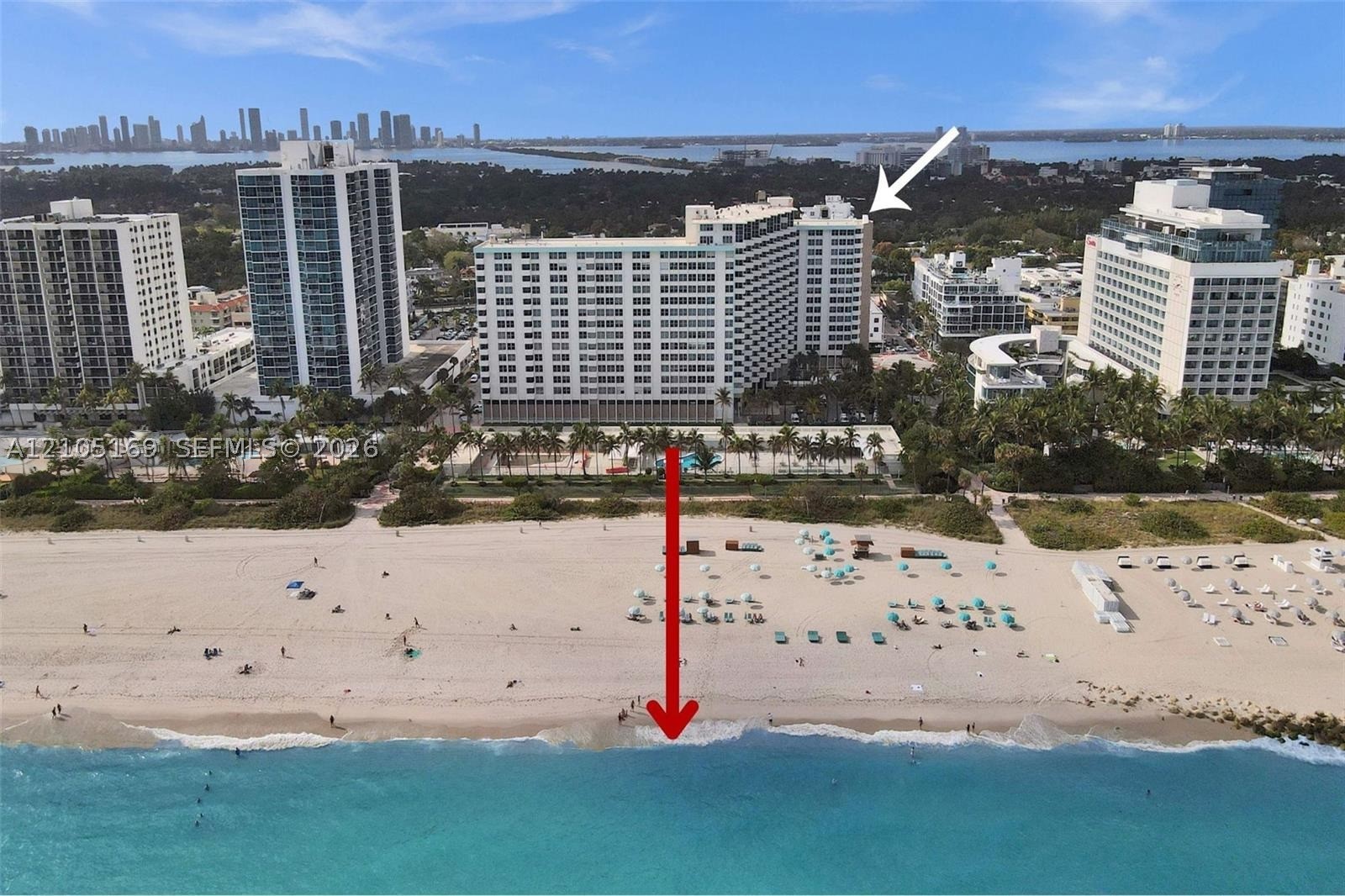 2899 Collins Ave #521