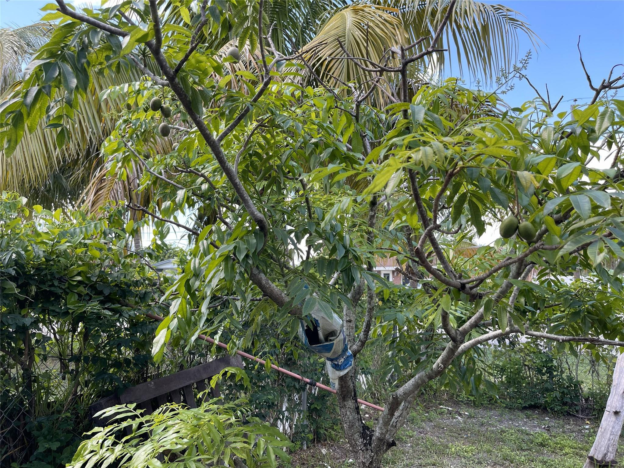 671 NW 38th St Deerfield Beach, FL 33064