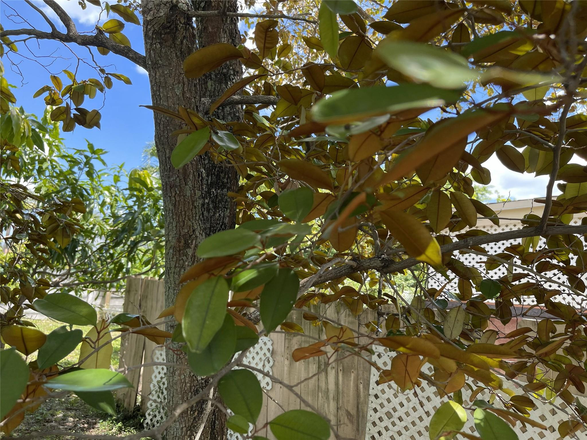 671 NW 38th St Deerfield Beach, FL 33064