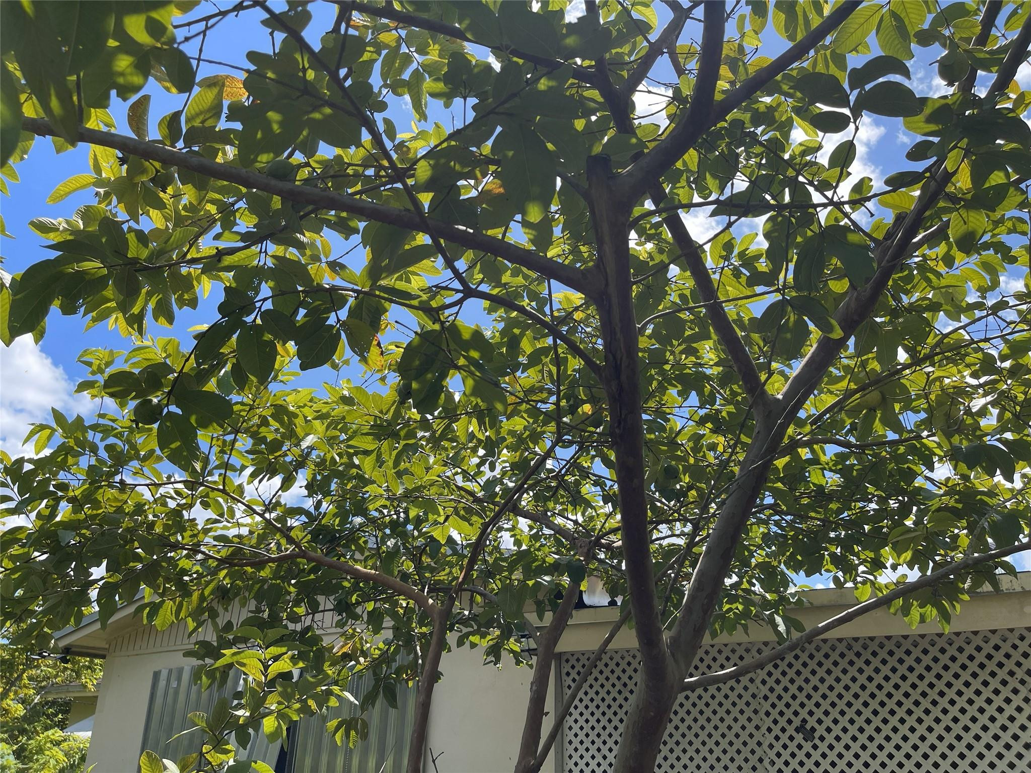 671 NW 38th St Deerfield Beach, FL 33064