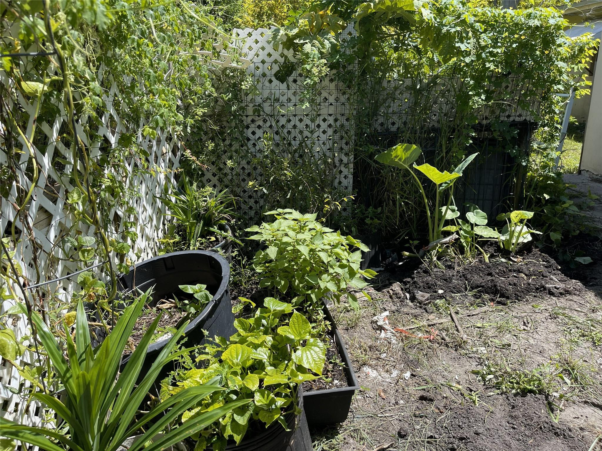 671 NW 38th St Deerfield Beach, FL 33064