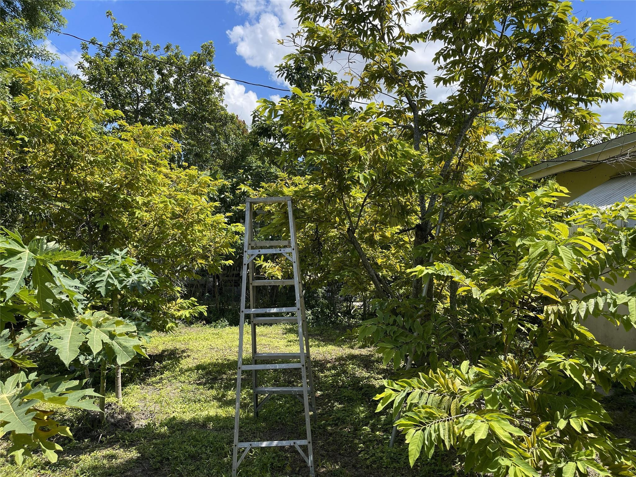 671 NW 38th St Deerfield Beach, FL 33064