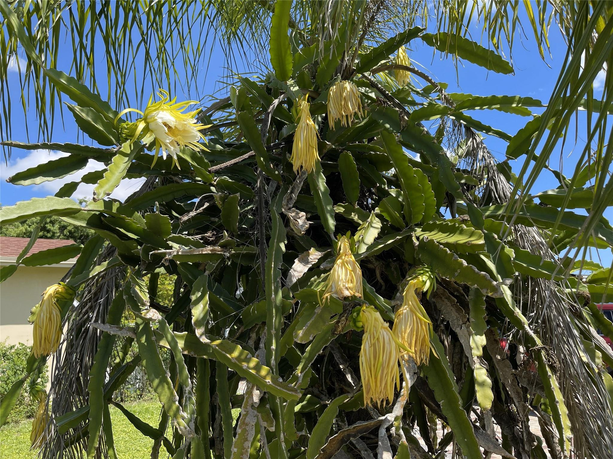 671 NW 38th St Deerfield Beach, FL 33064