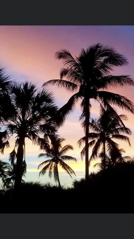 1225 Carlton Ct #202 Fort Pierce, FL 34949