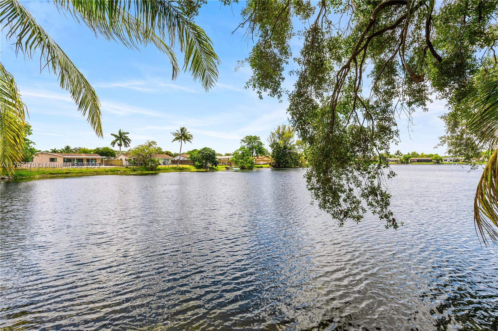 8956 Palm Tree Ln #8956