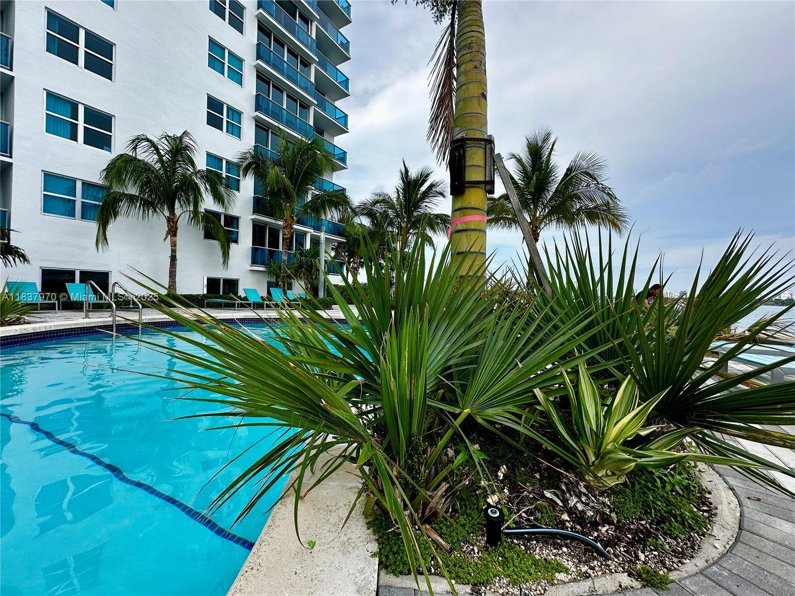 7501 E Treasure Dr #1P North Bay Village, FL 33141