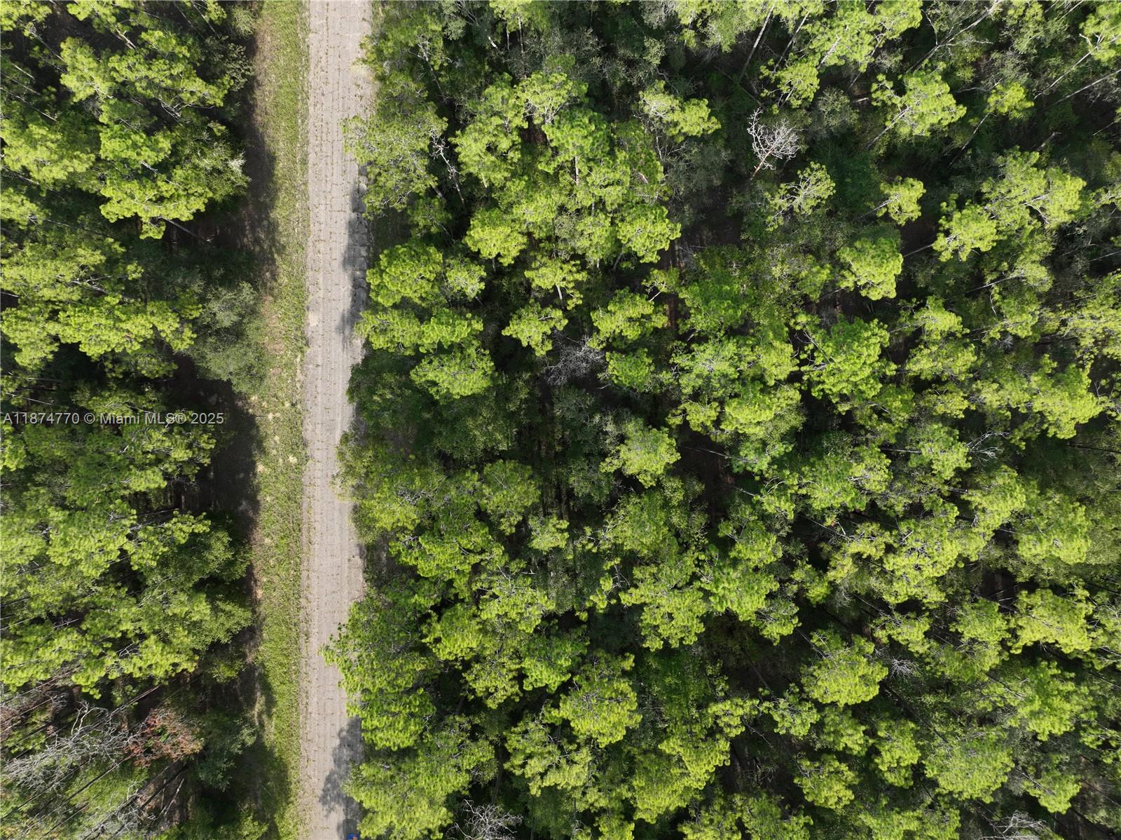 598 E Marquette Ln Other, FL 34434