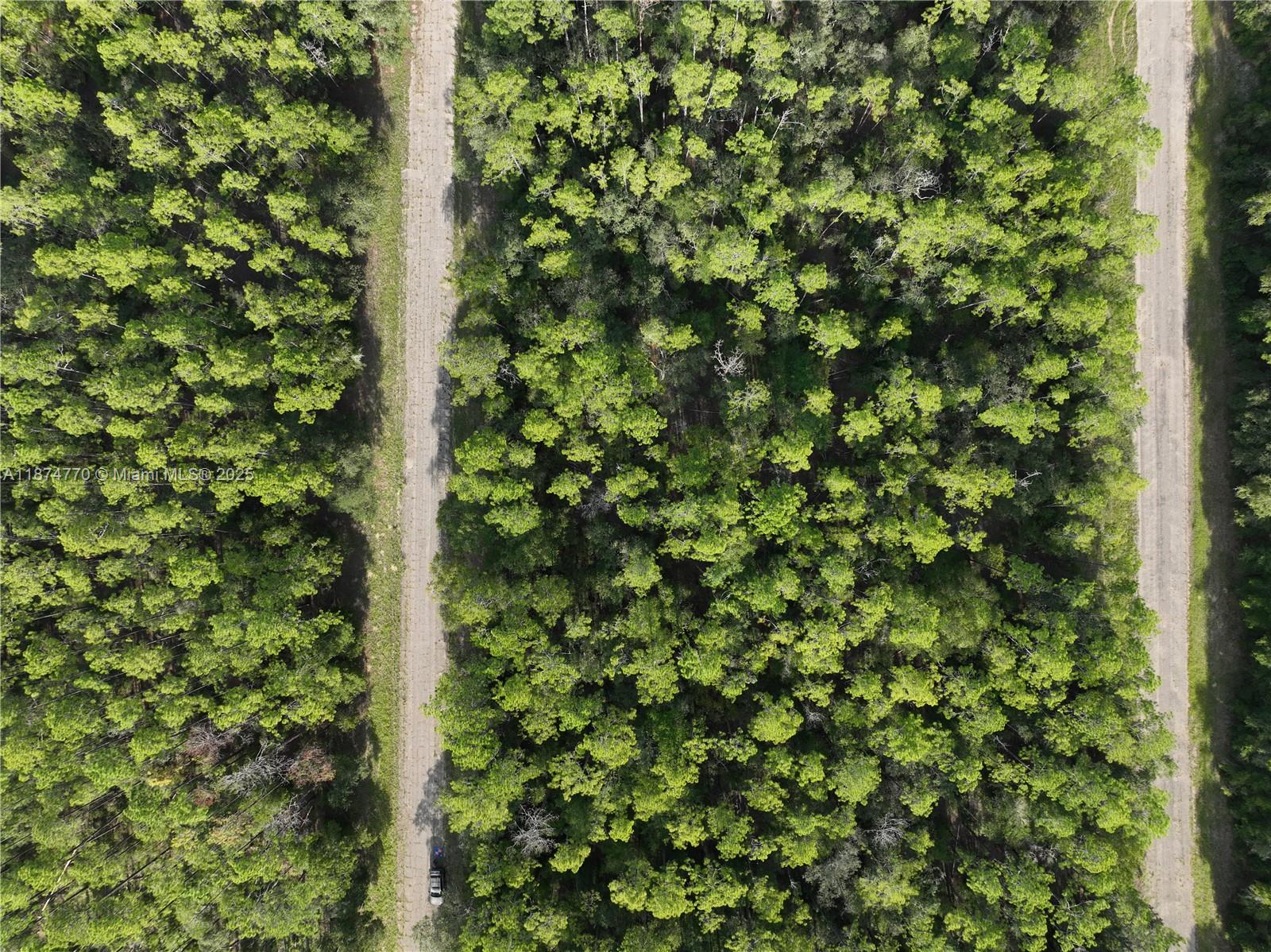 598 E Marquette Ln Other, FL 34434