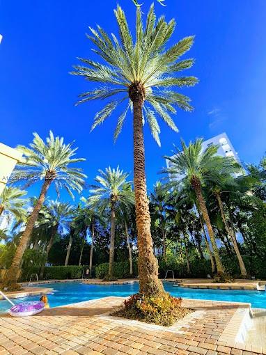 17150 N Bay Rd #2211 Sunny Isles Beach, FL 33160