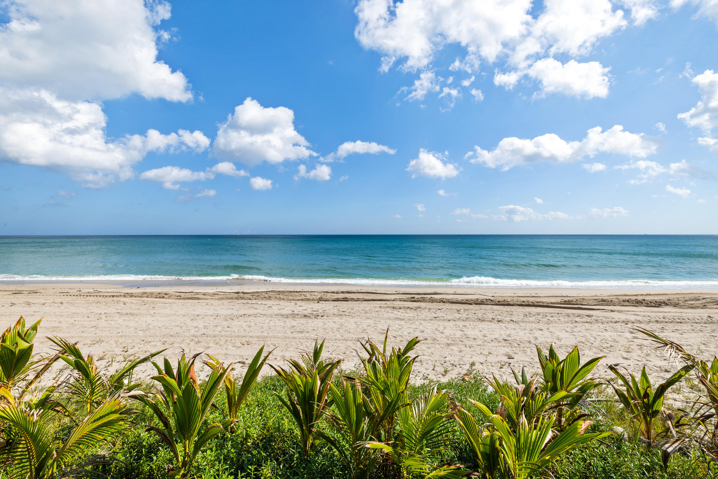 1075 Hillsboro Mile Hillsboro Beach, FL 33062