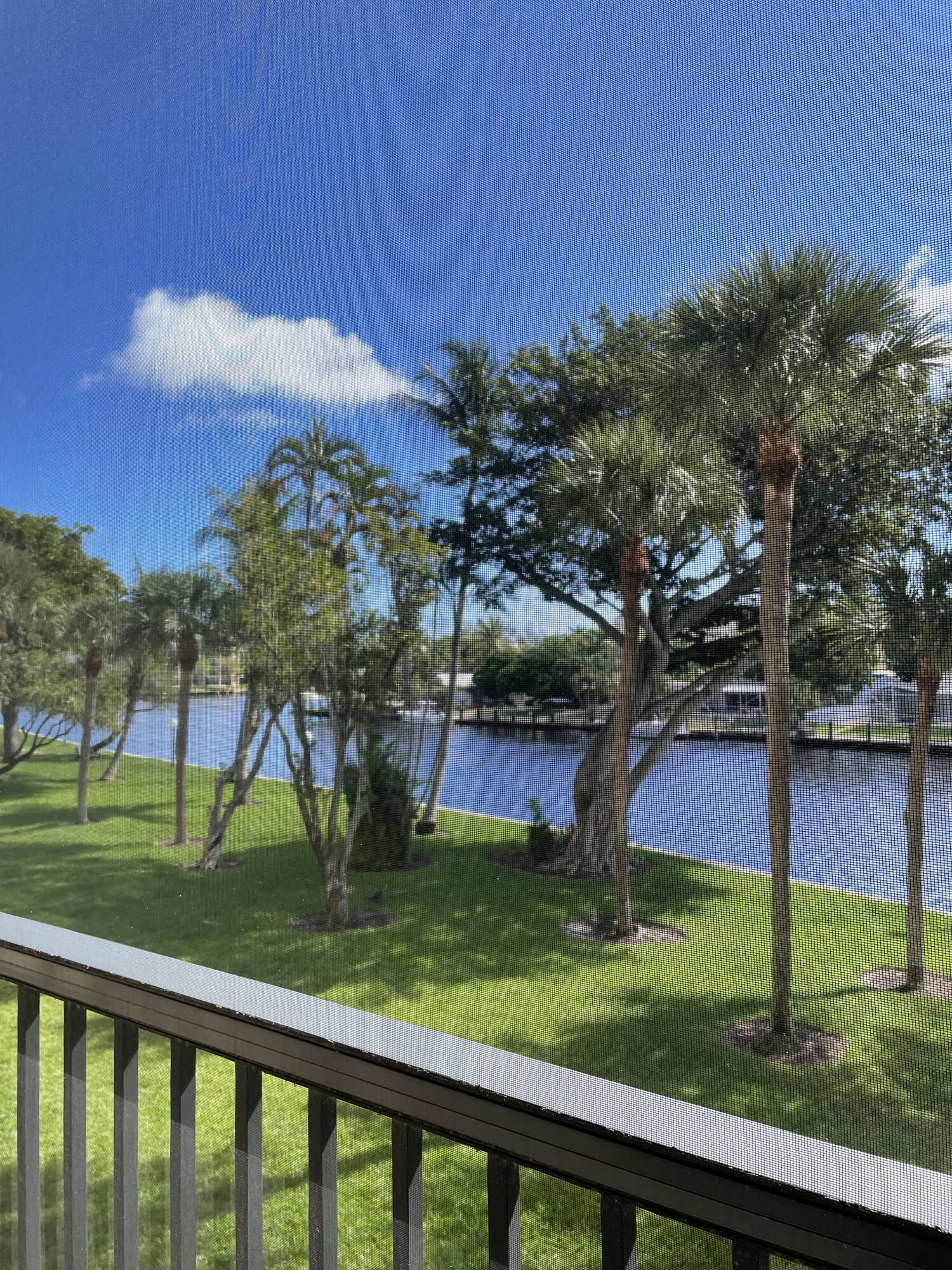 14 Royal Palm #204