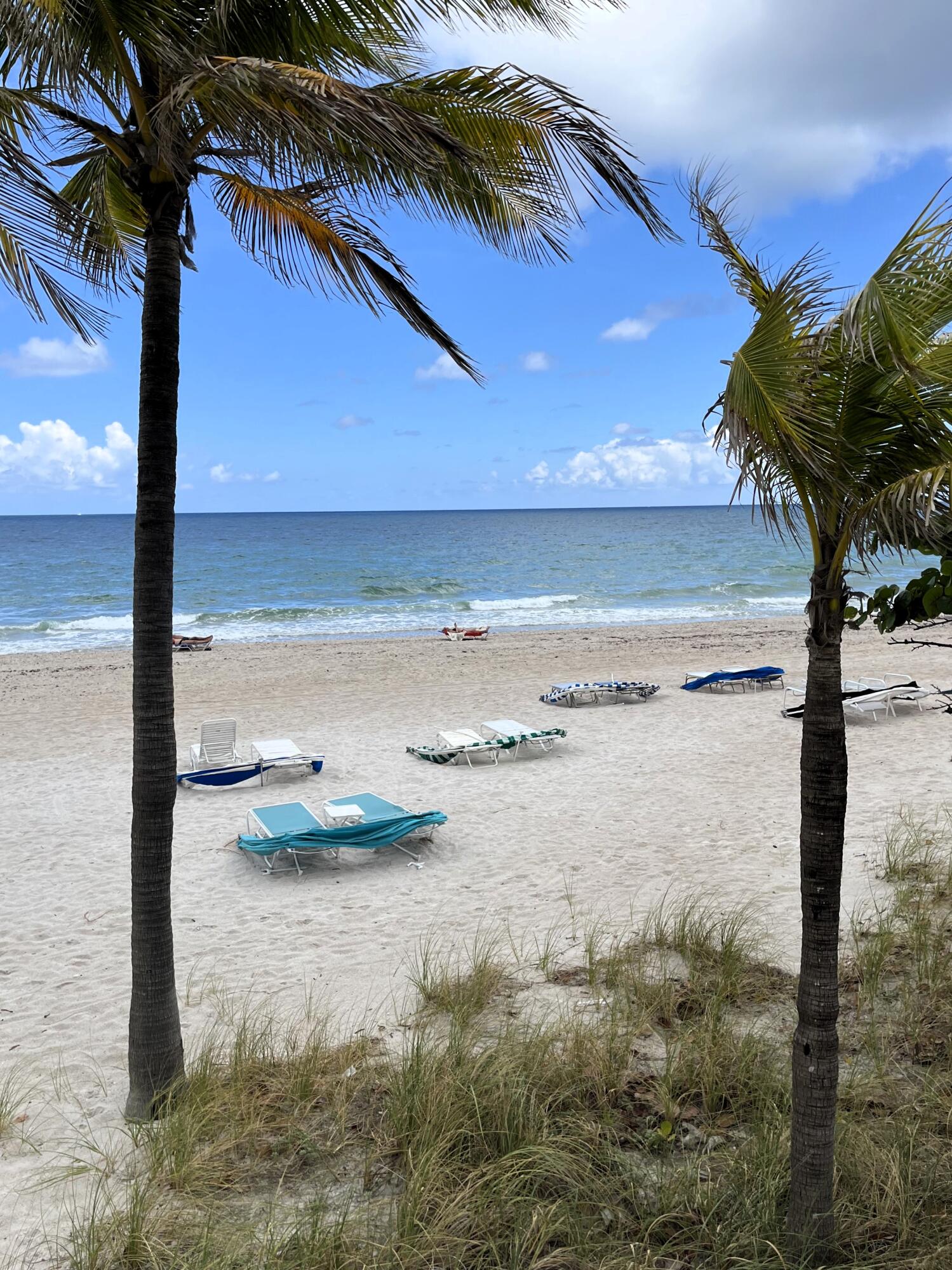 3500 Galt Ocean #1510 Fort Lauderdale, FL 33308