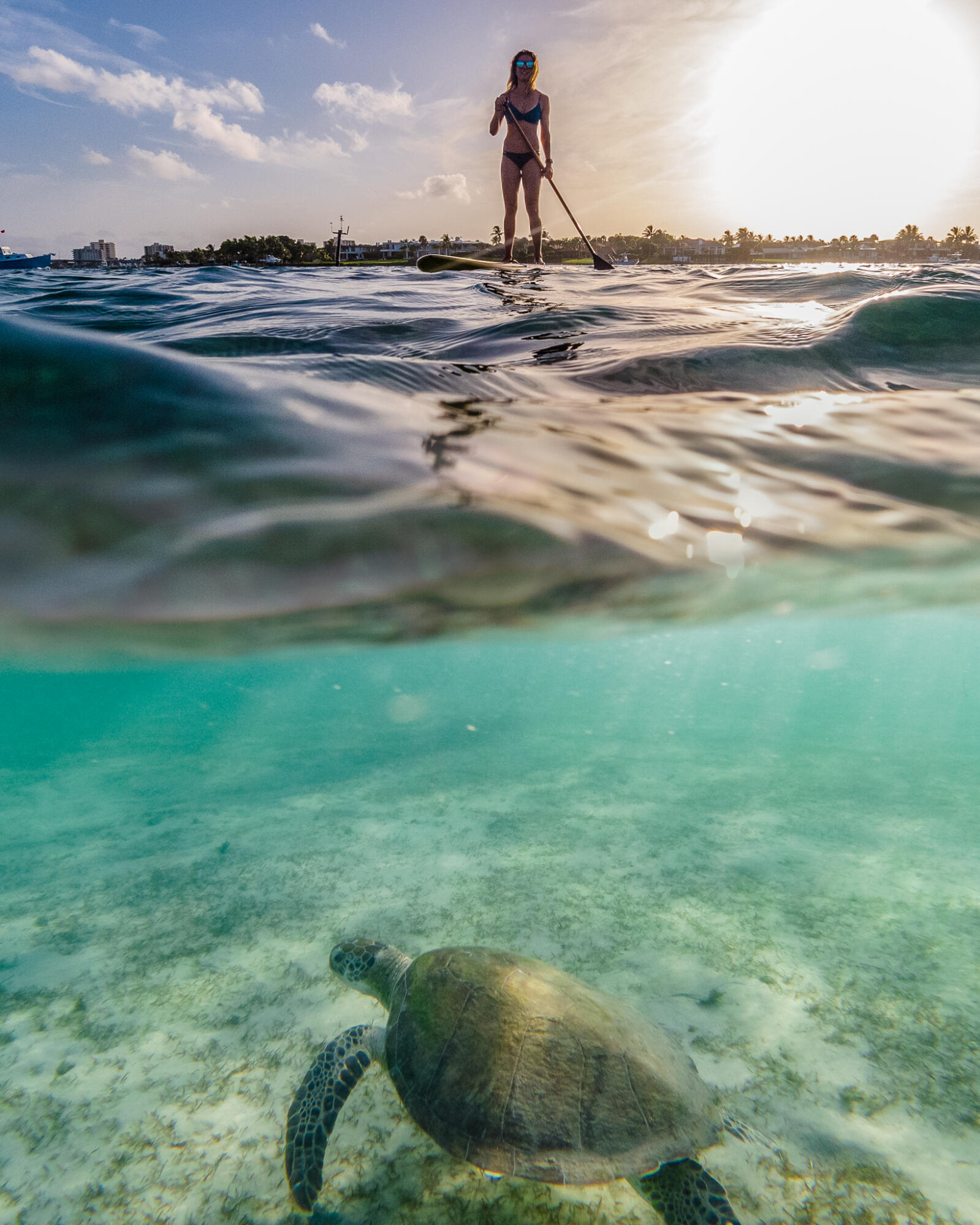 1135 Turnbridge Jupiter, FL 33458