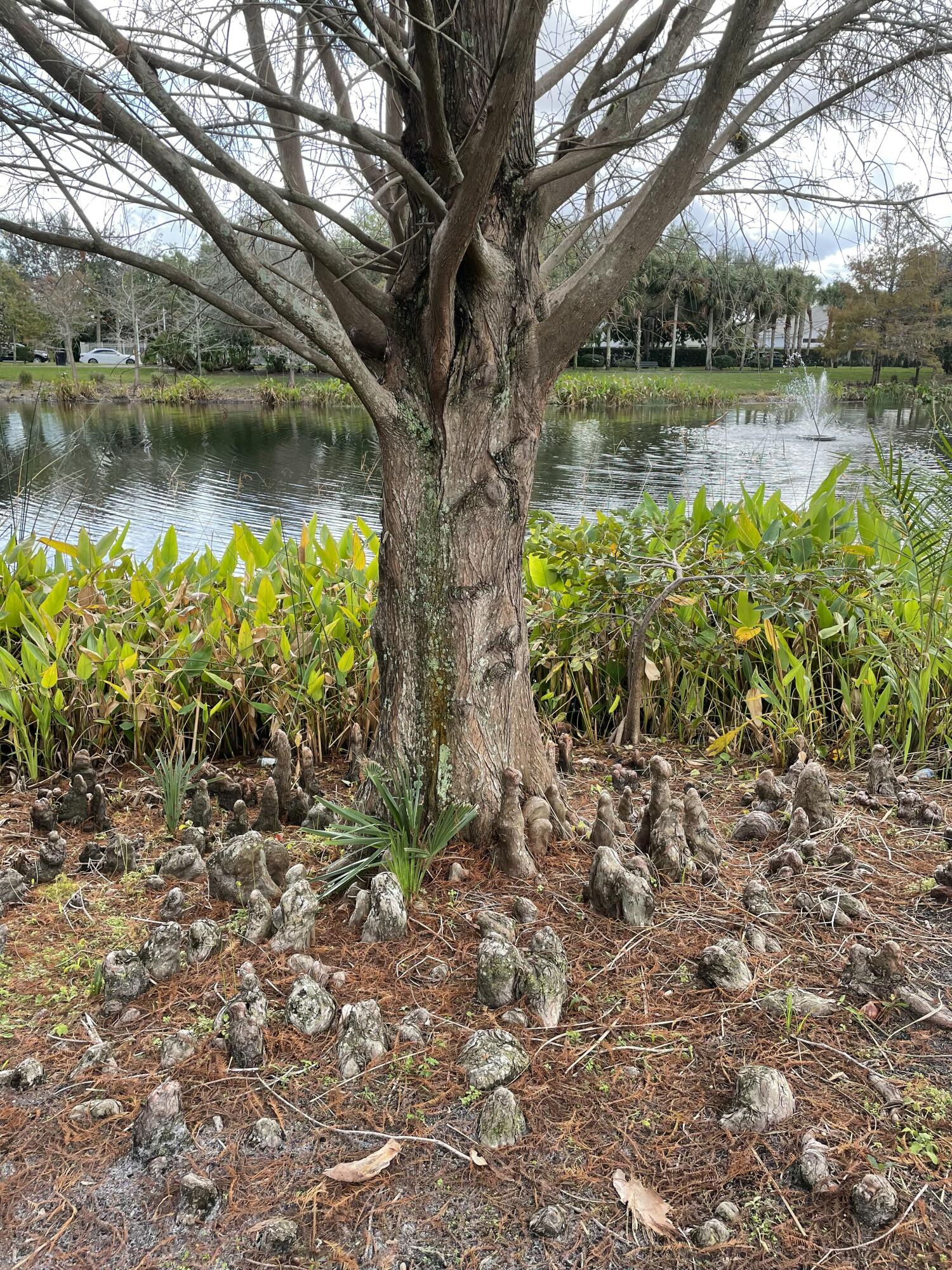 4045 Trovita Boynton Beach, FL 33436