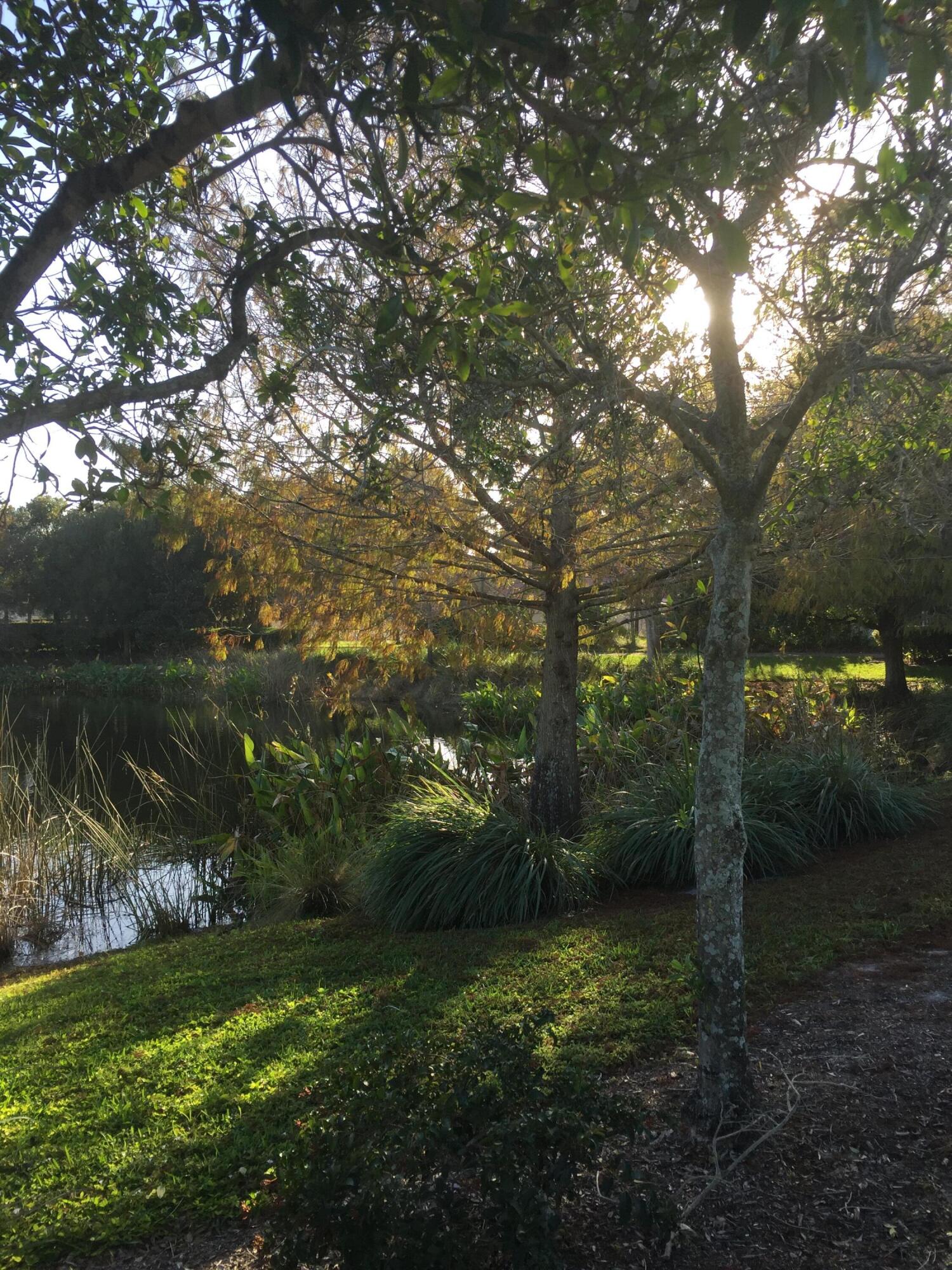 4045 Trovita Boynton Beach, FL 33436