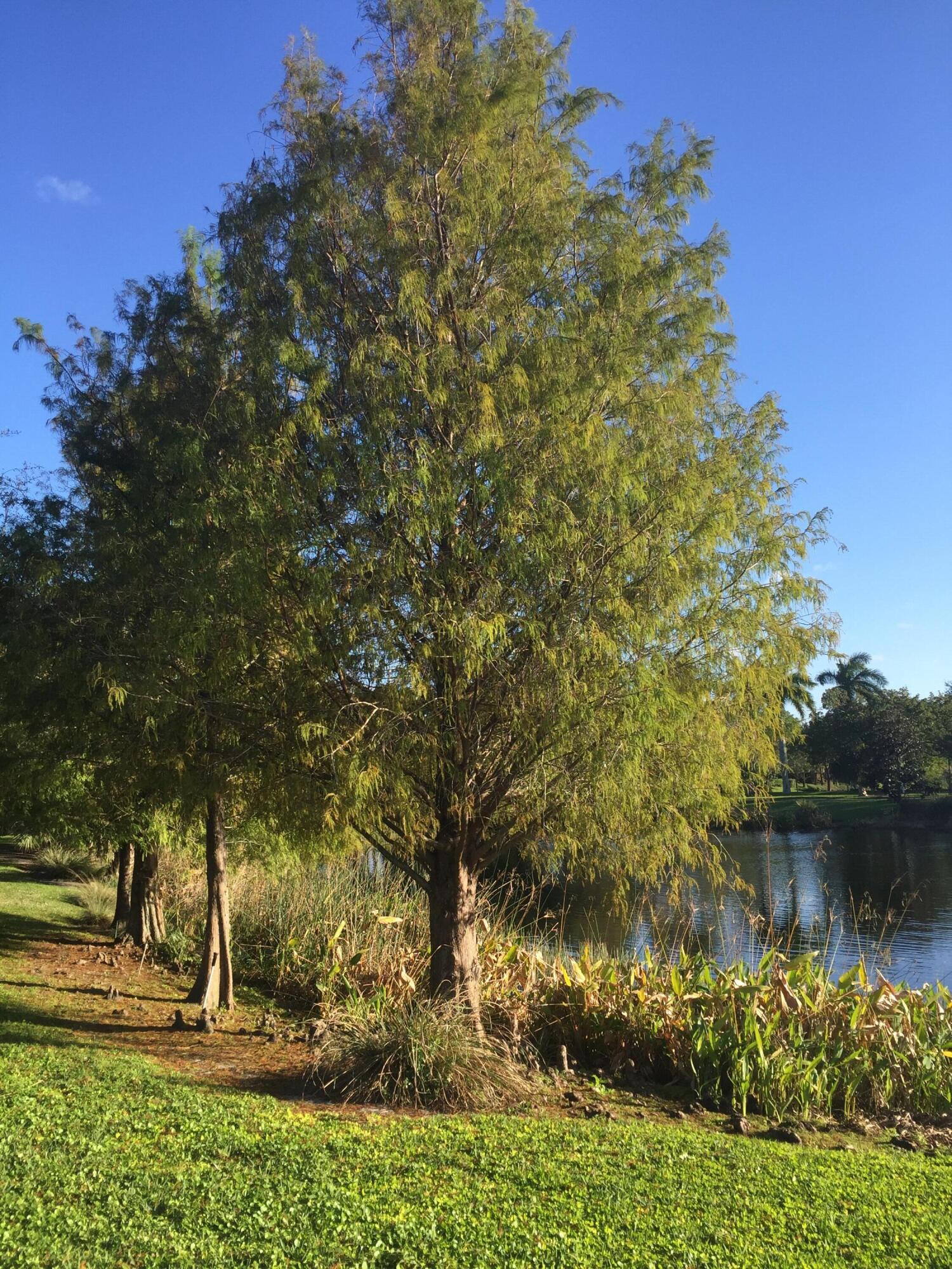 4045 Trovita Boynton Beach, FL 33436