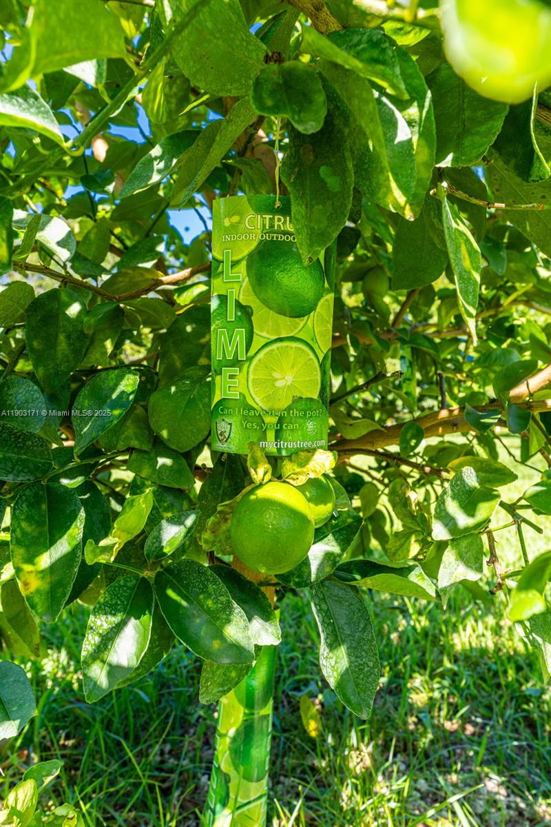 15000 SW 200th St Miami, FL 33187