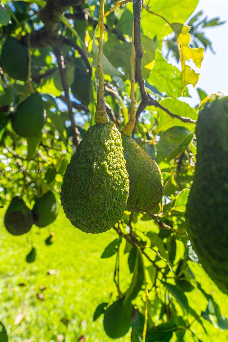 15000 SW 200th St Miami, FL 33187