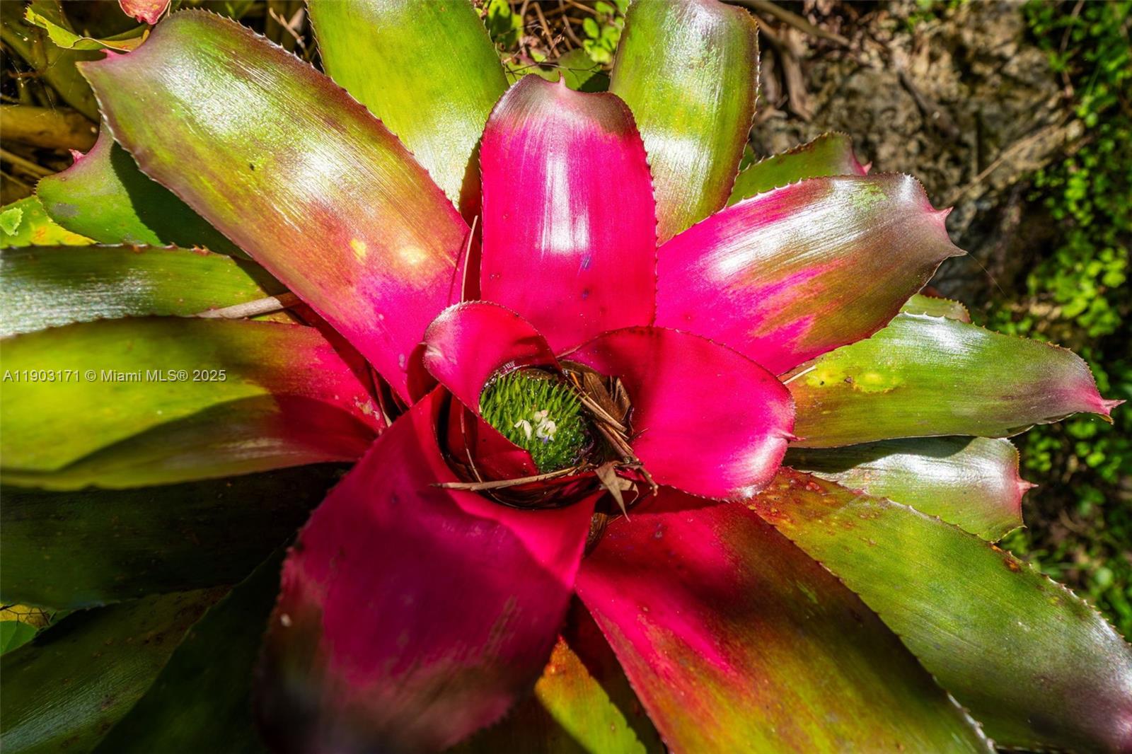 15000 SW 200th St Miami, FL 33187