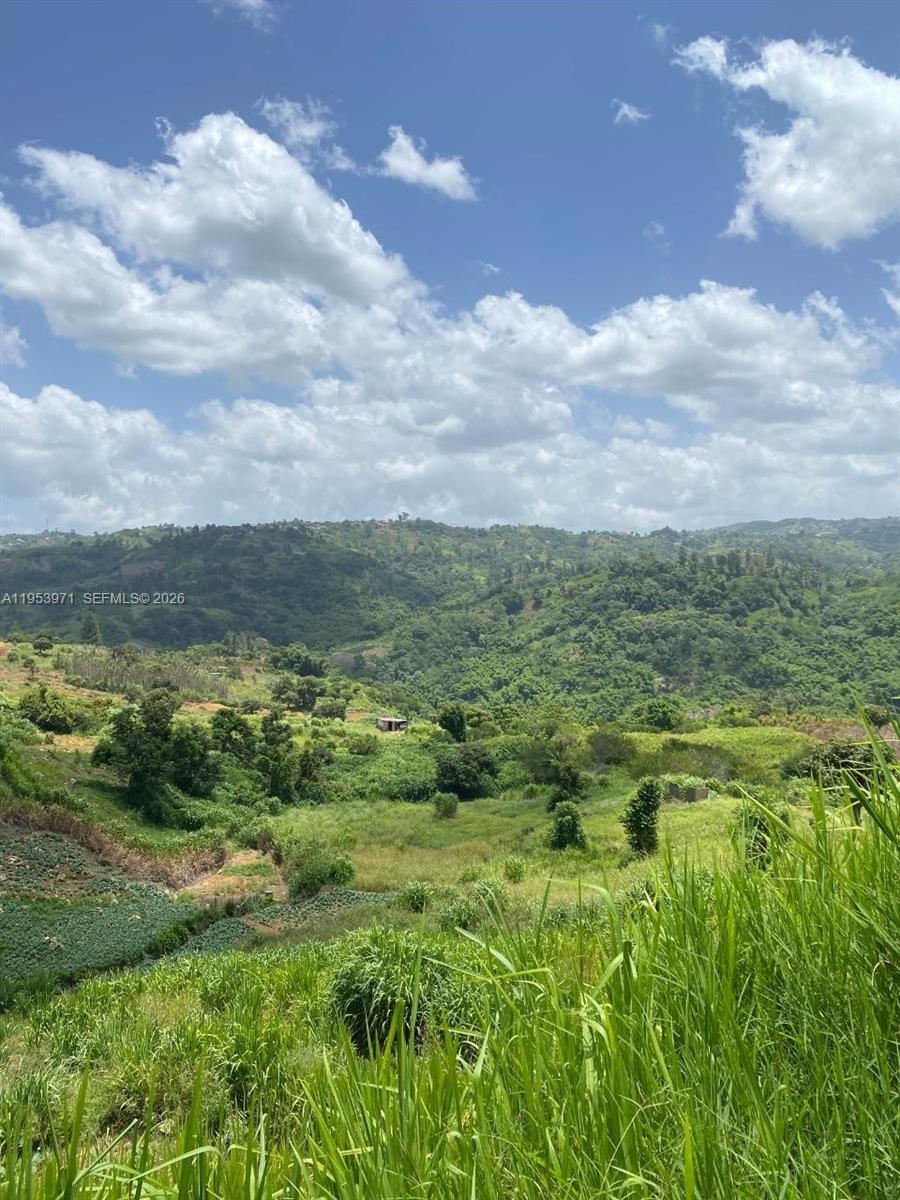 1 Colleyville, Manchester, Jamaica