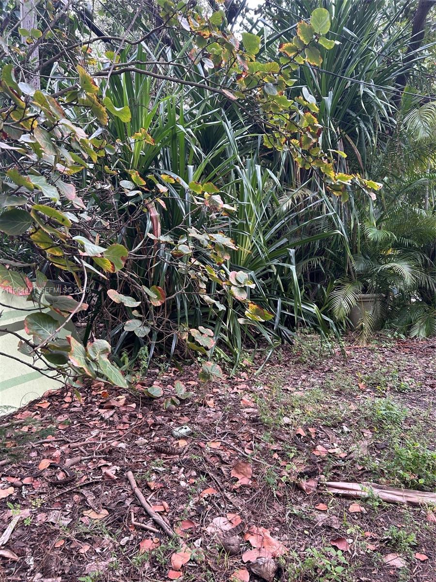 655 NE 82nd St Miami, FL 33138