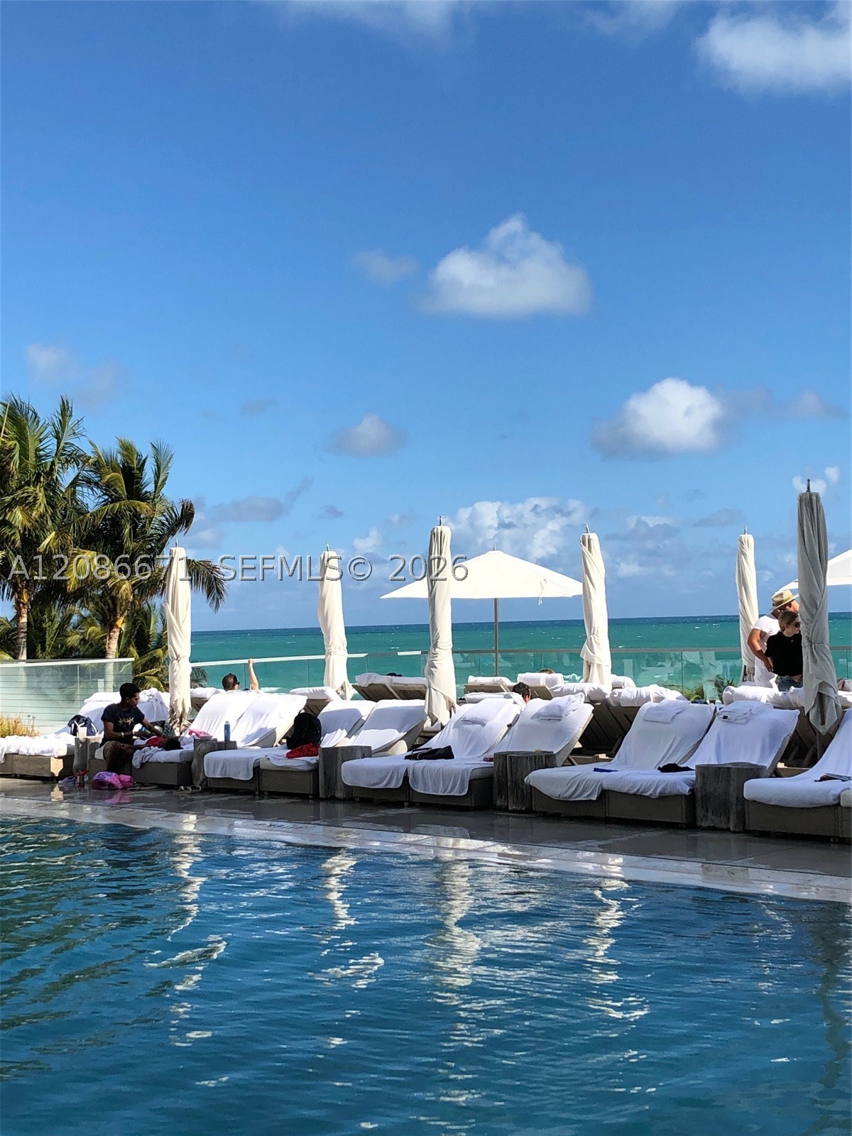 image Roney Palace20