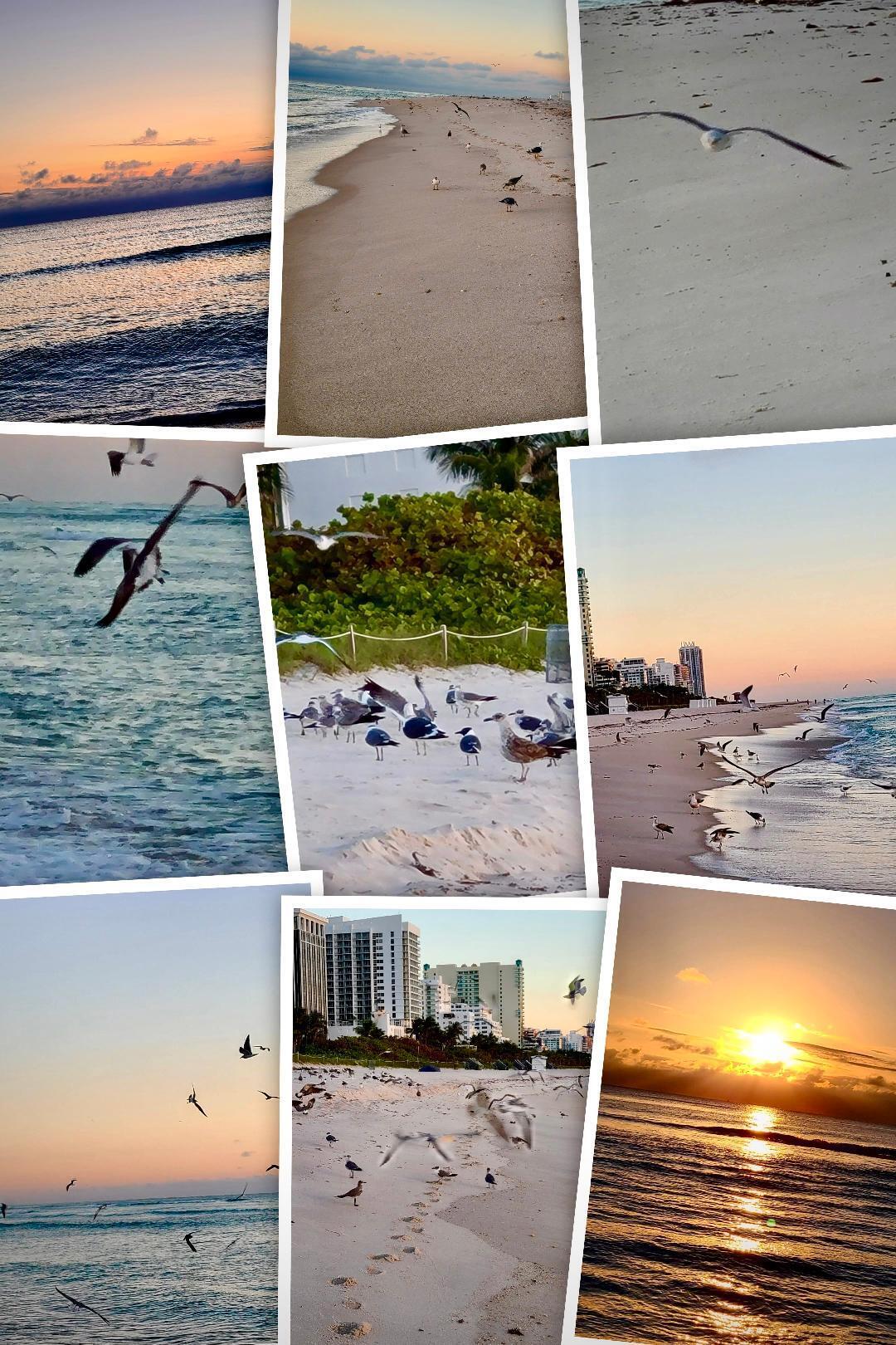 7300 Wayne #213 Miami Beach, FL 33141