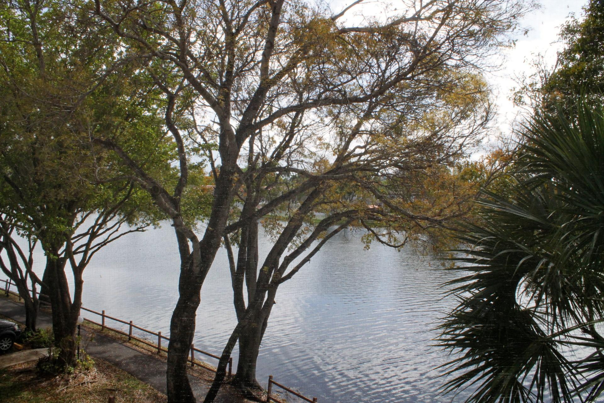 1100 Colony Pt Cir #314 Pembroke Pines, FL 33026