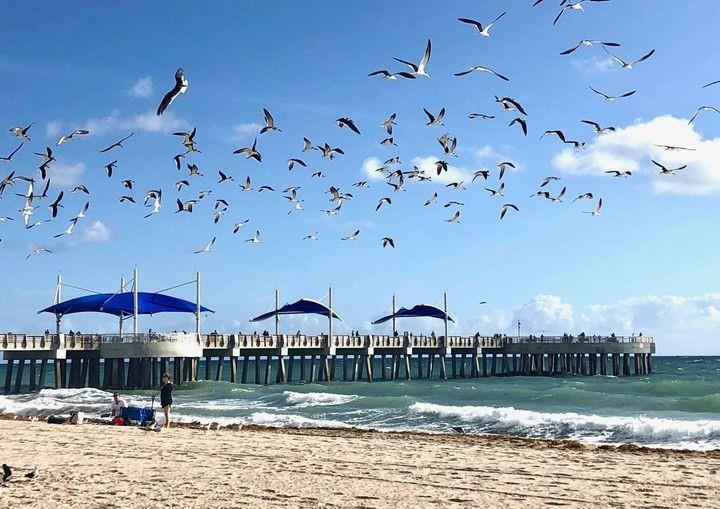 1012 N Ocean #408 Pompano Beach, FL 33062