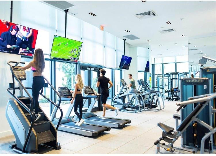 image Canvas41