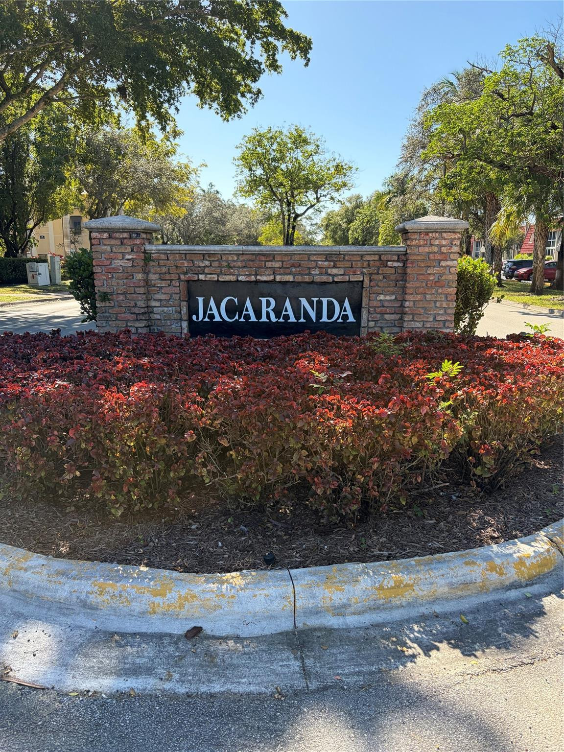 21 Jacaranda #121