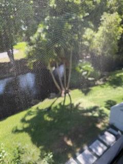 303 Racquet Clb Rd #201