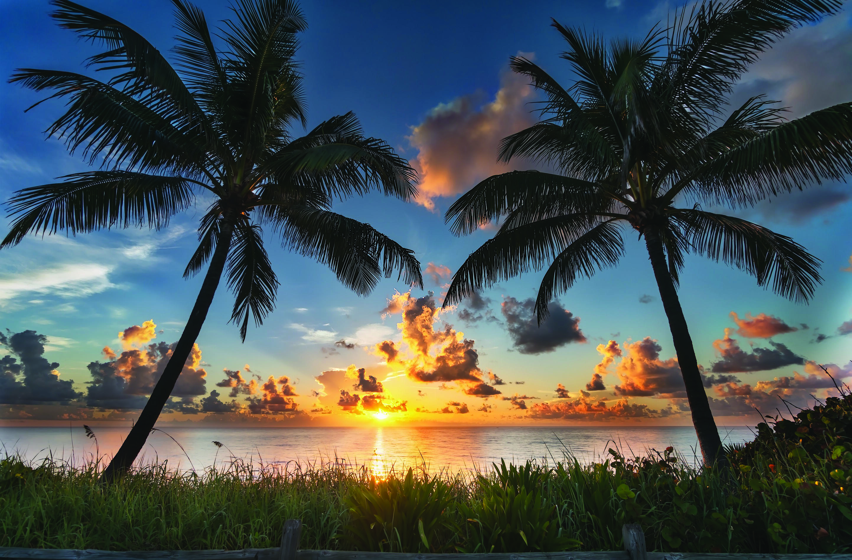 1607 Seabrook Jupiter, FL 33469