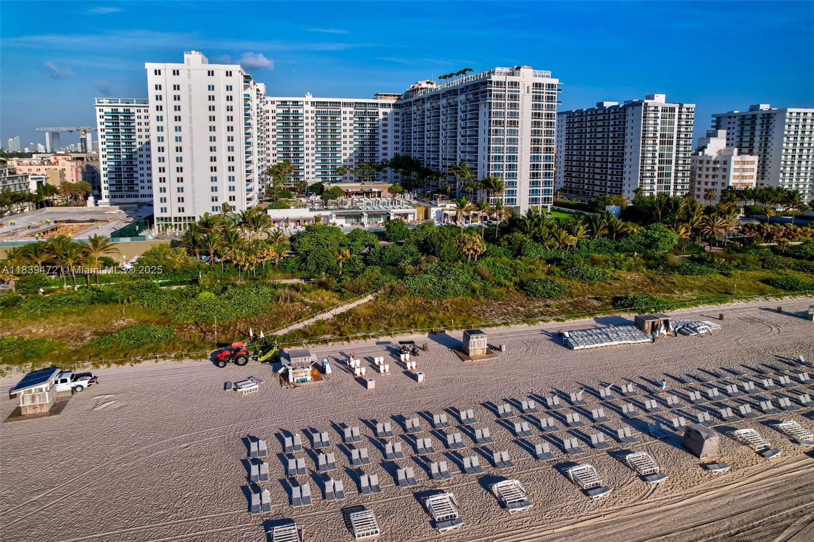 image Roney Palace29