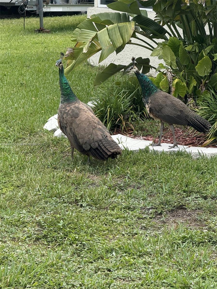 17640 Old Cutler Rd Palmetto Bay, FL 33157