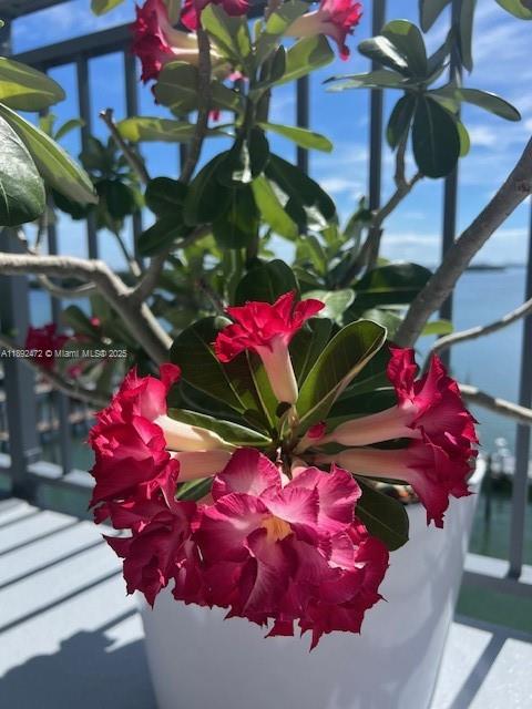 770 NE 69th St #5D Miami, FL 33138