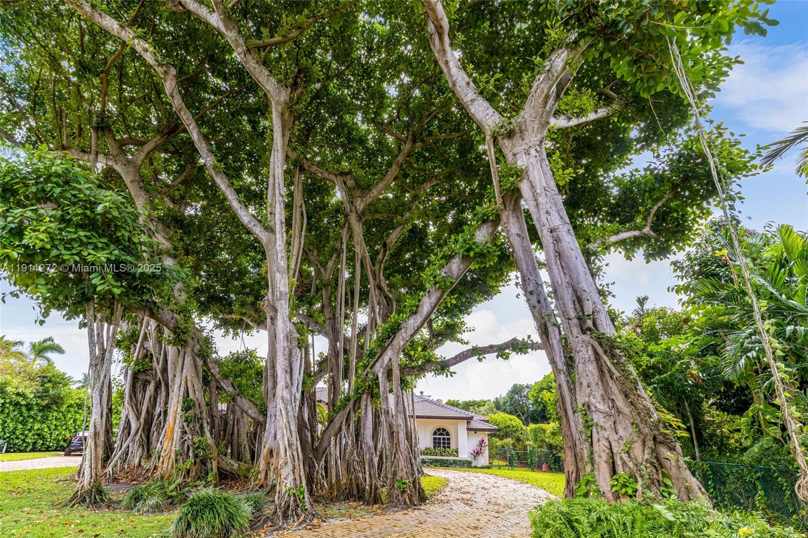 7250 SW 99th St Pinecrest, FL 33156