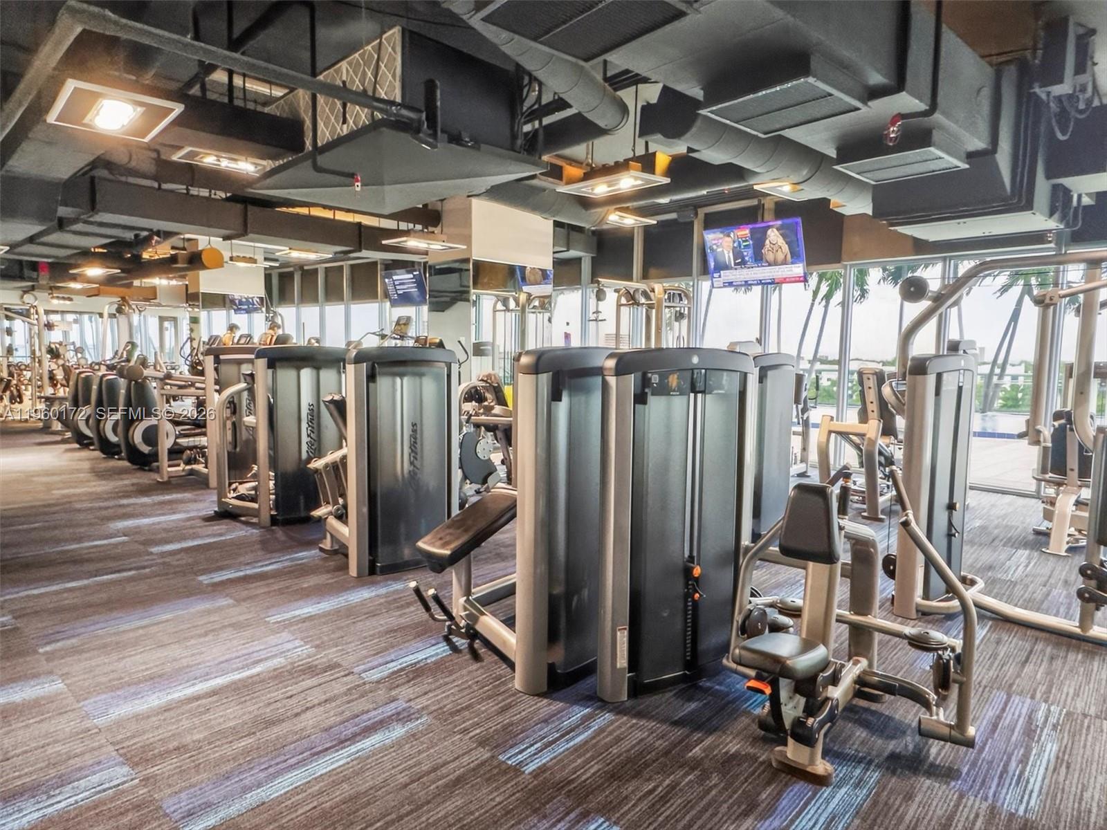 image Blue on the Bay54