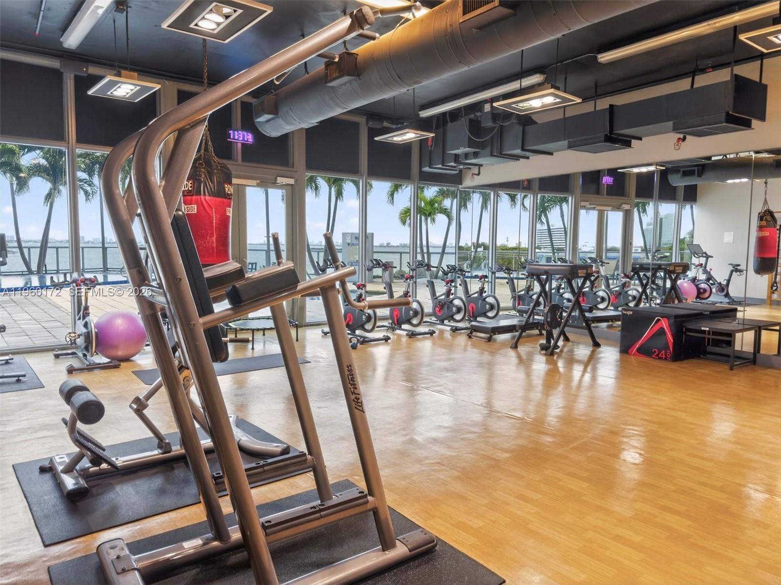 image Blue on the Bay59