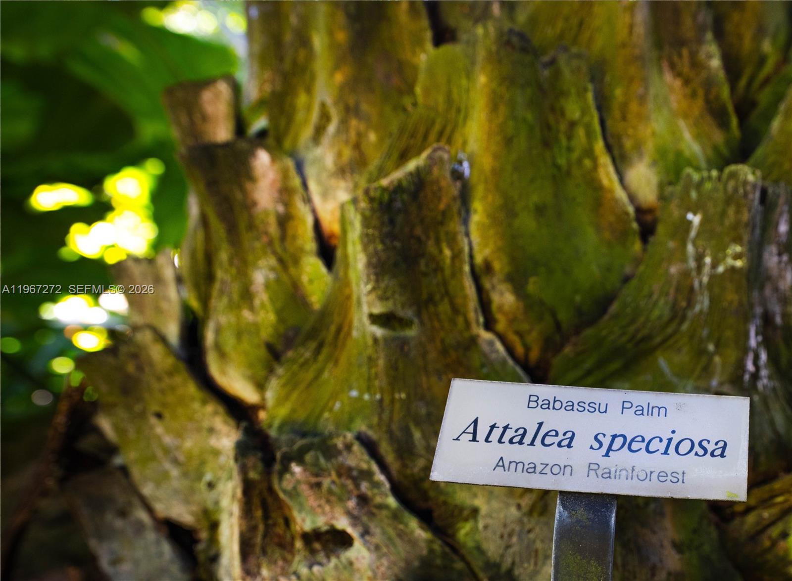 4867 SW 82nd St Miami, FL 33143