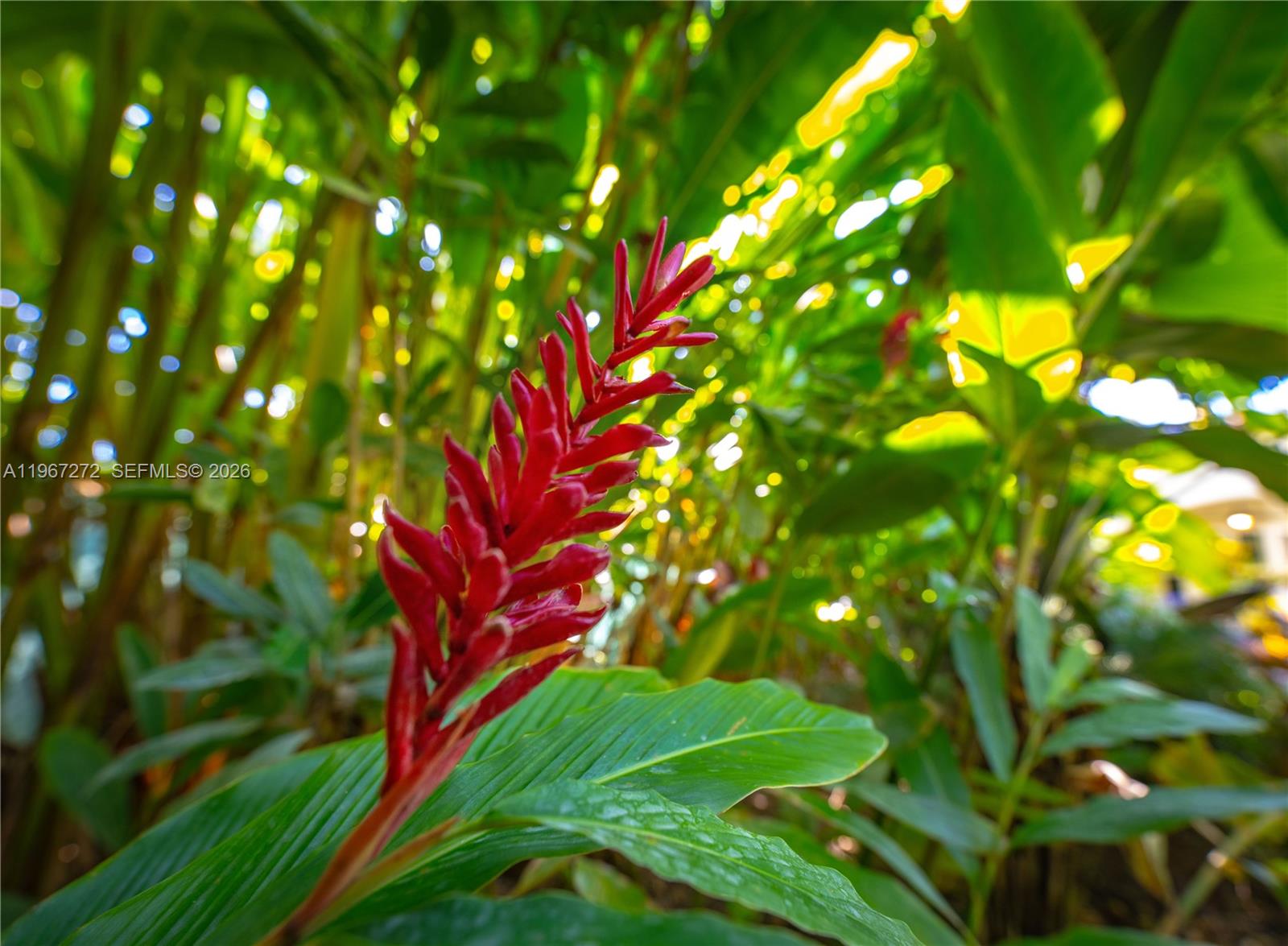 4867 SW 82nd St Miami, FL 33143