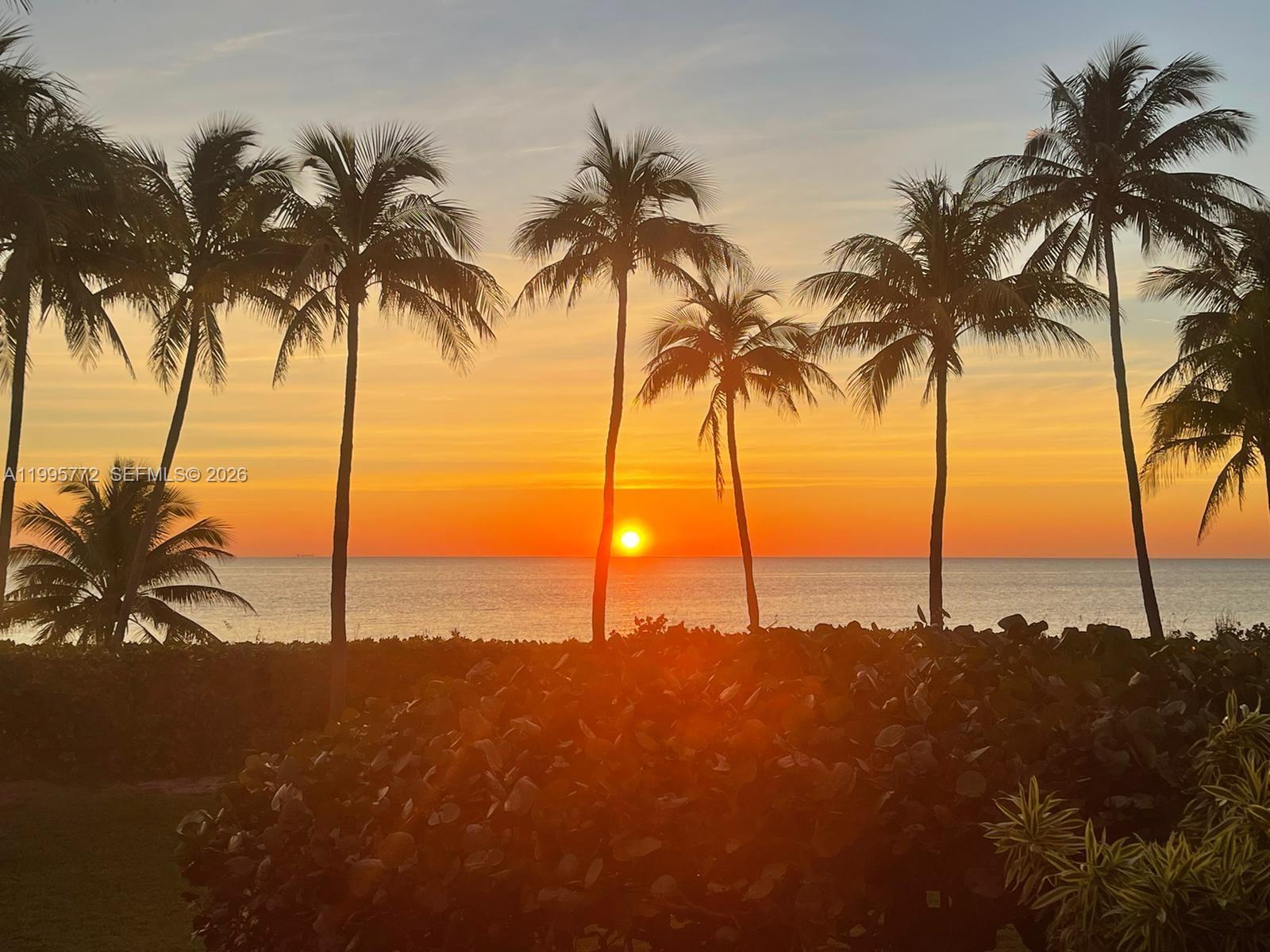 201 Crandon Blvd #175 Key Biscayne, FL 33149