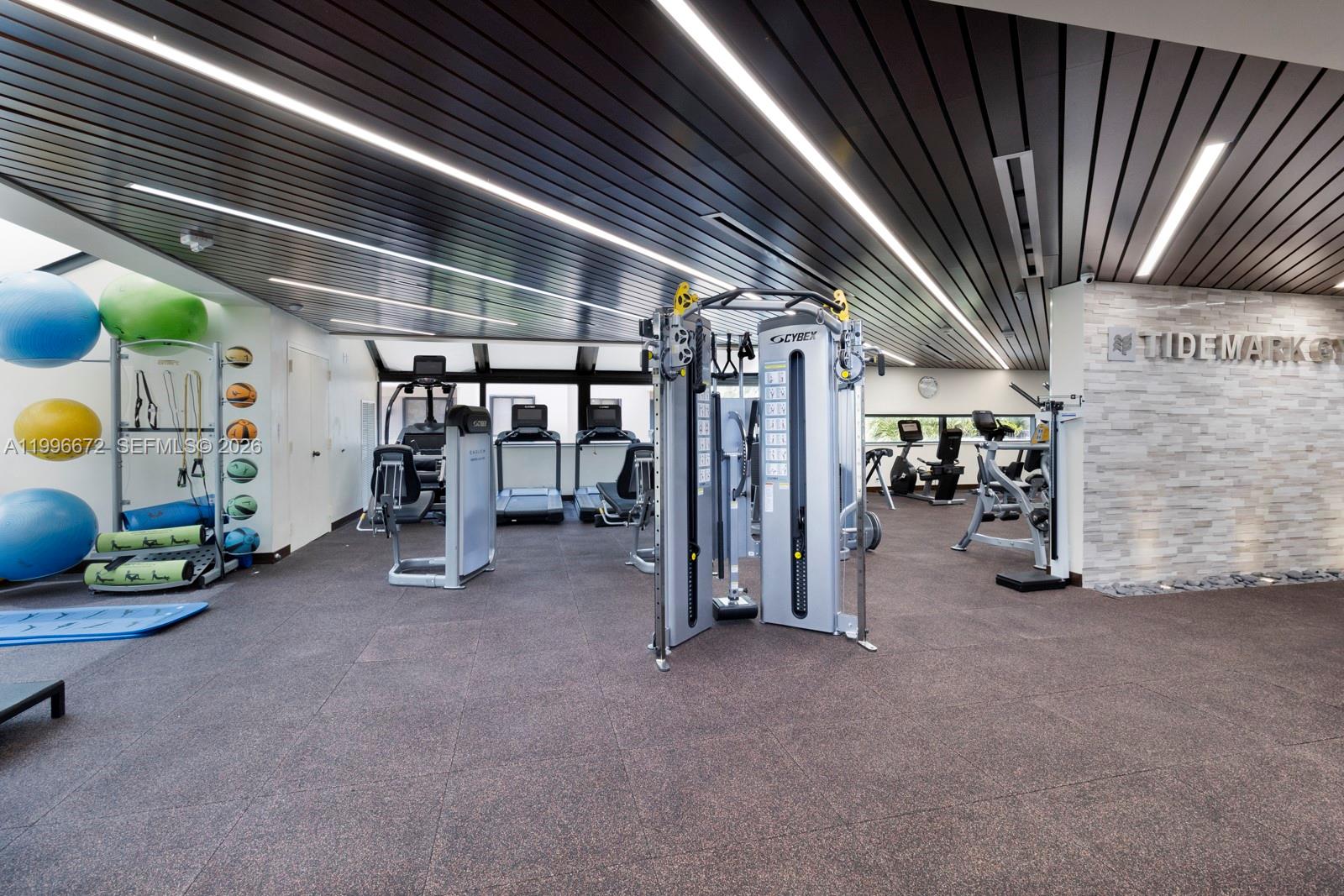 image Tidemark at Key Colony54