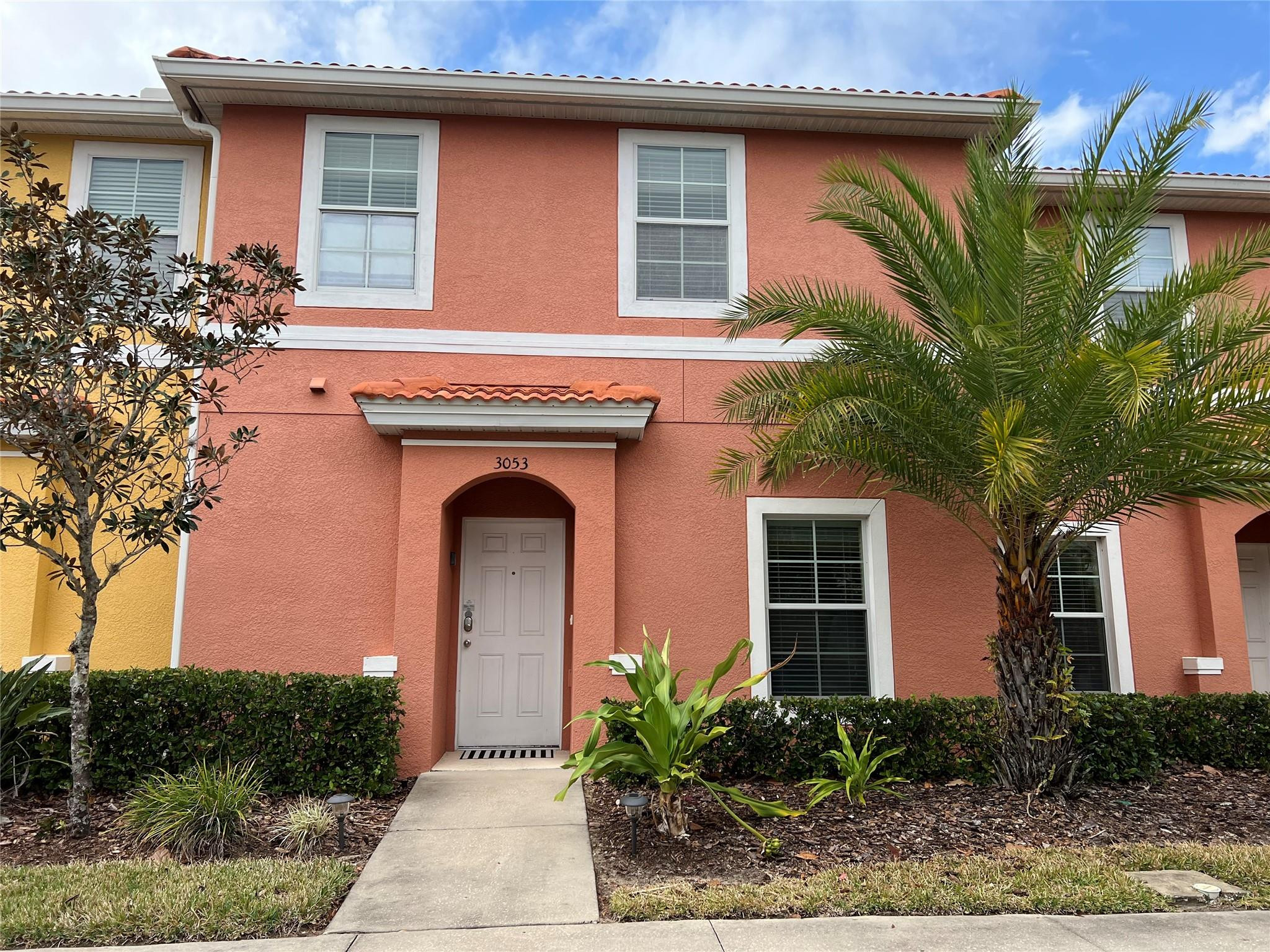 3053 White Orchid #3053