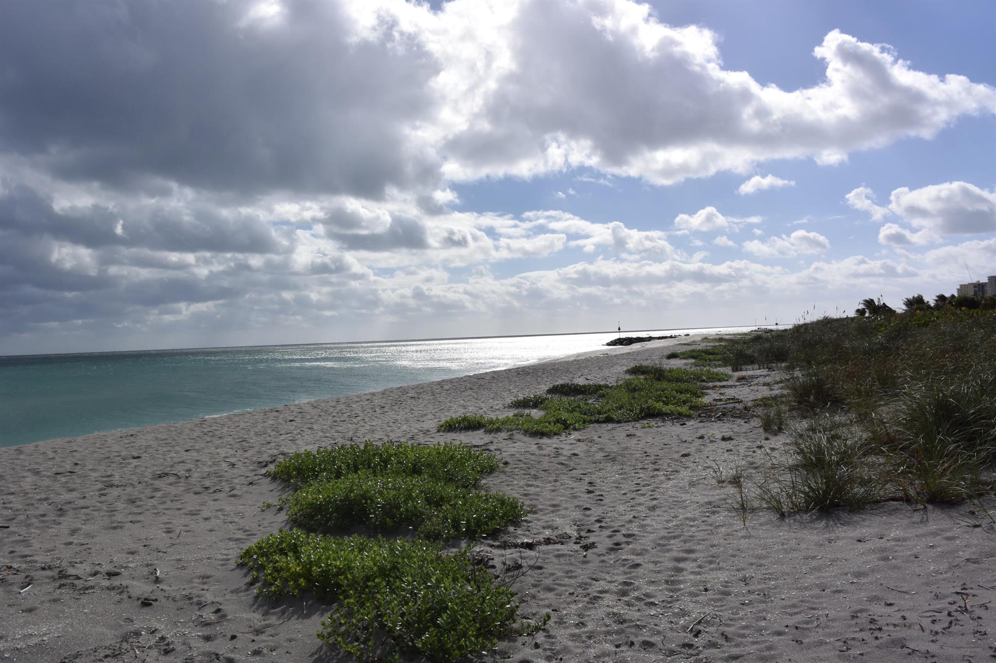 50 Beach Rd #104 Tequesta, FL 33469