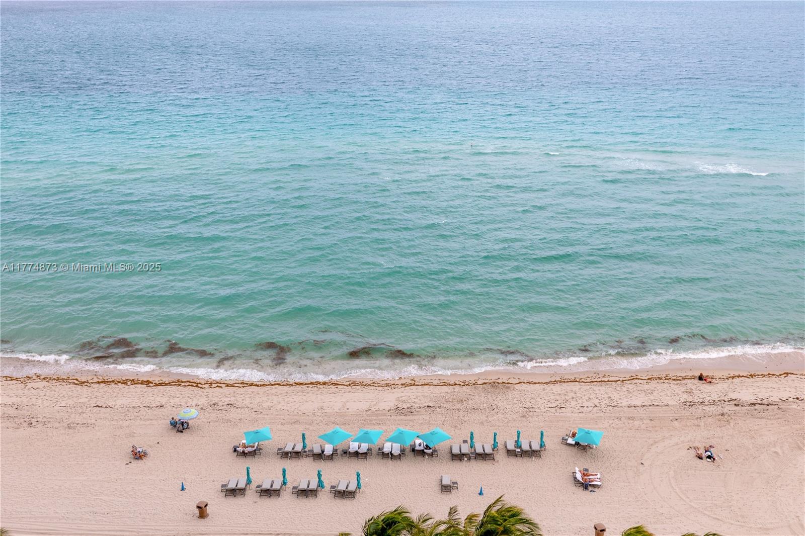 15701 Collins Ave #1004 Sunny Isles Beach, FL 33160