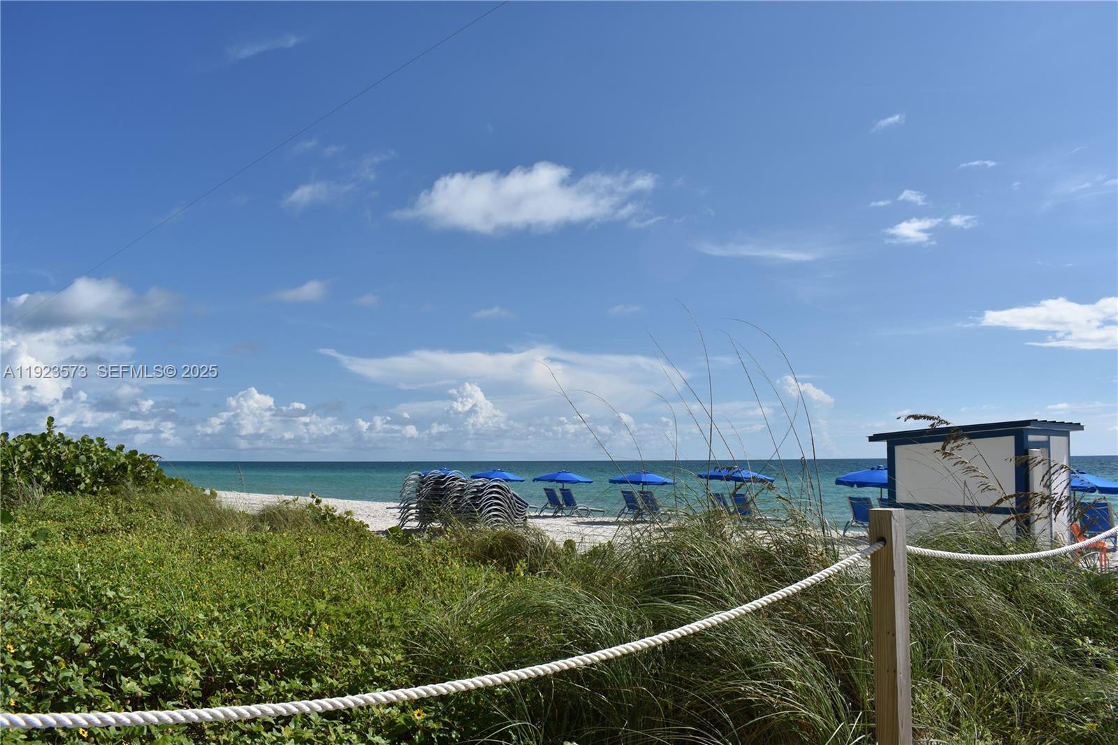 6365 Collins Ave #3804 Miami Beach, FL 33141