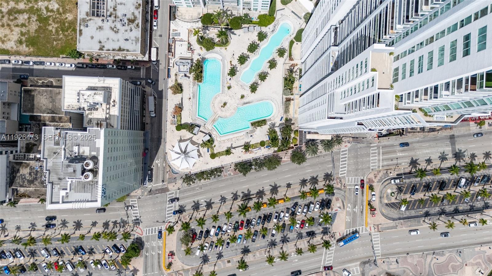 244 Biscayne Blvd #1605 Miami, FL 33132