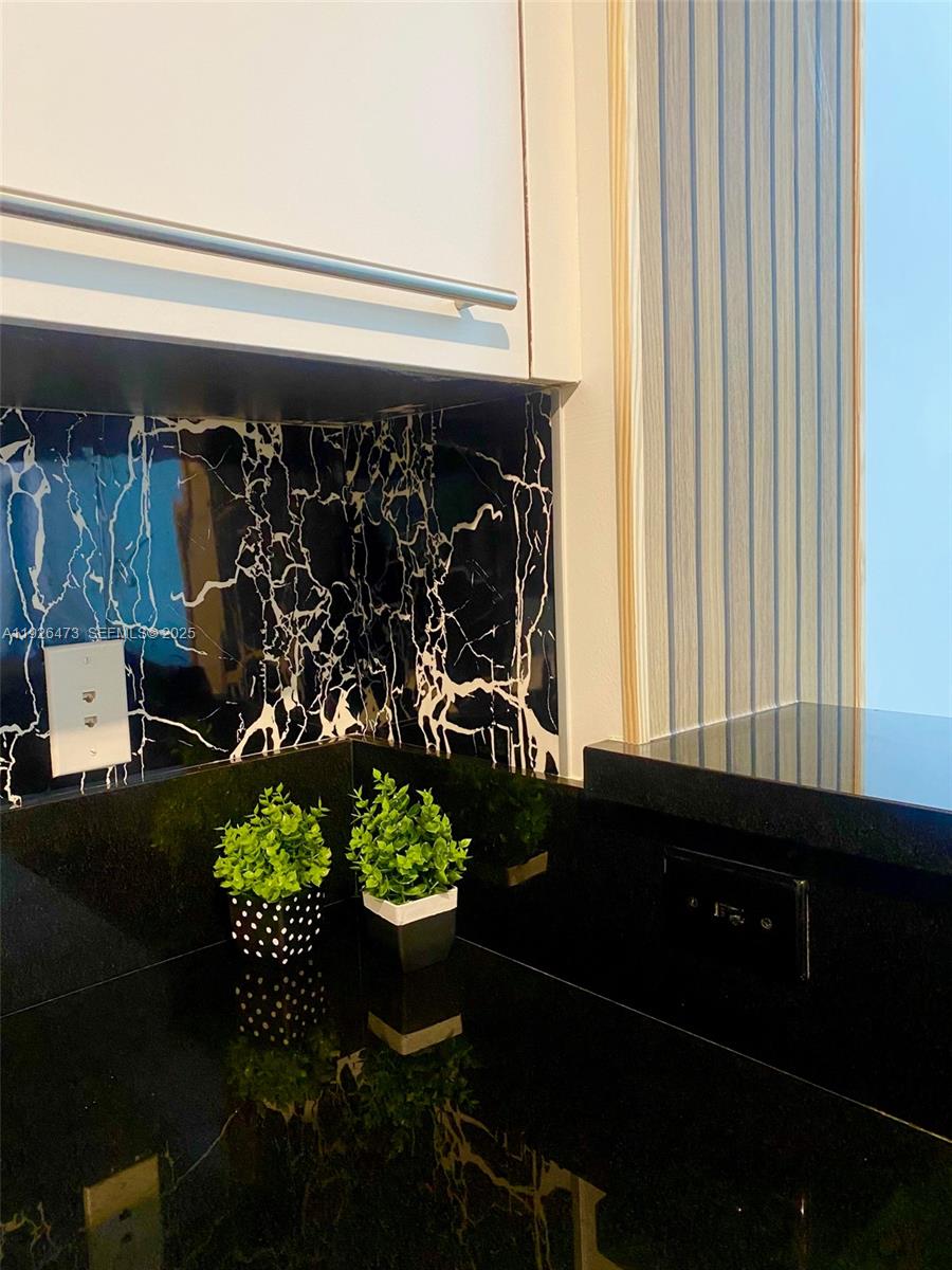 244 Biscayne Blvd #1605 Miami, FL 33132