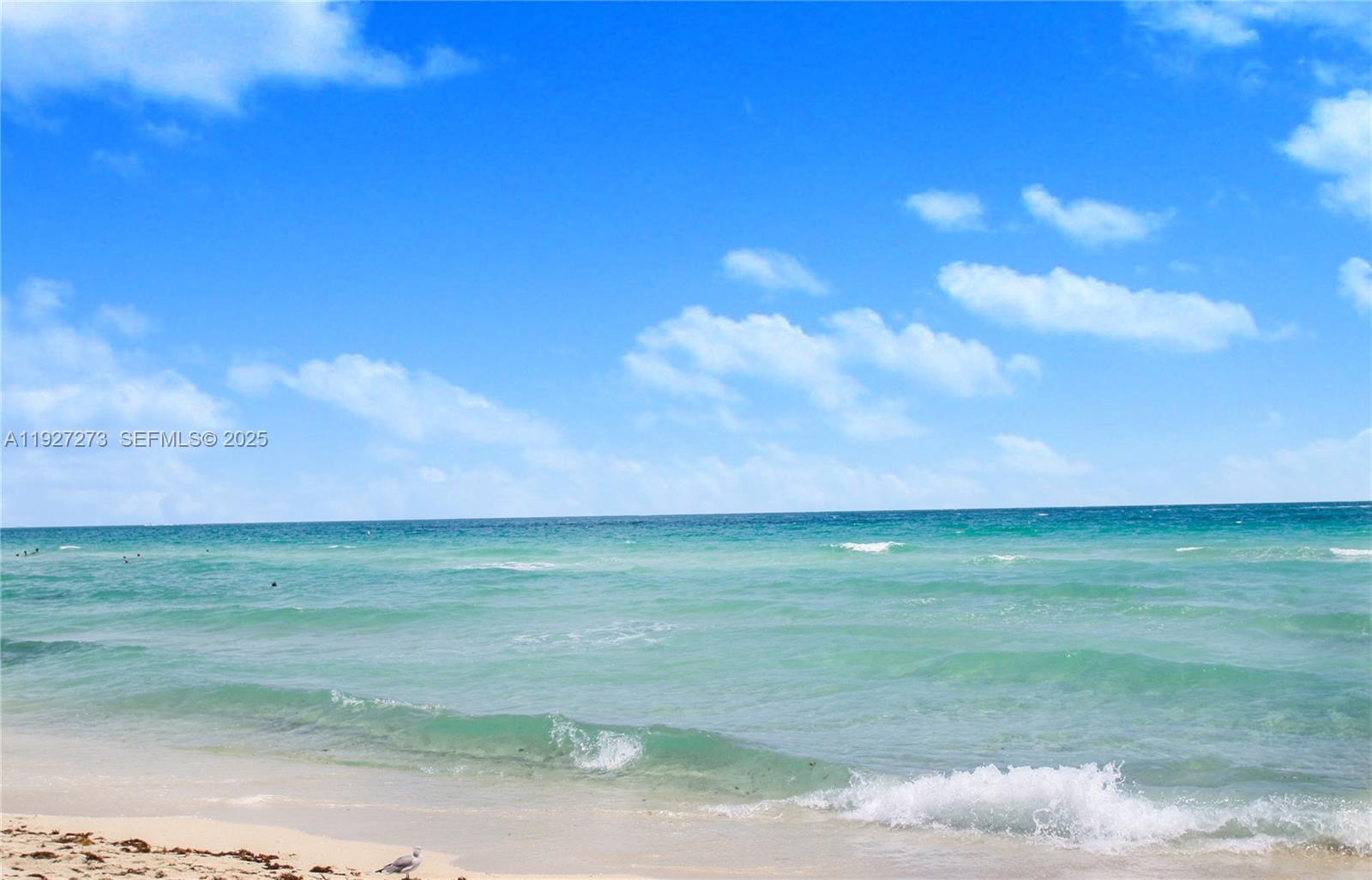 1555 Pennsylvania Ave #205 Miami Beach, FL 33139